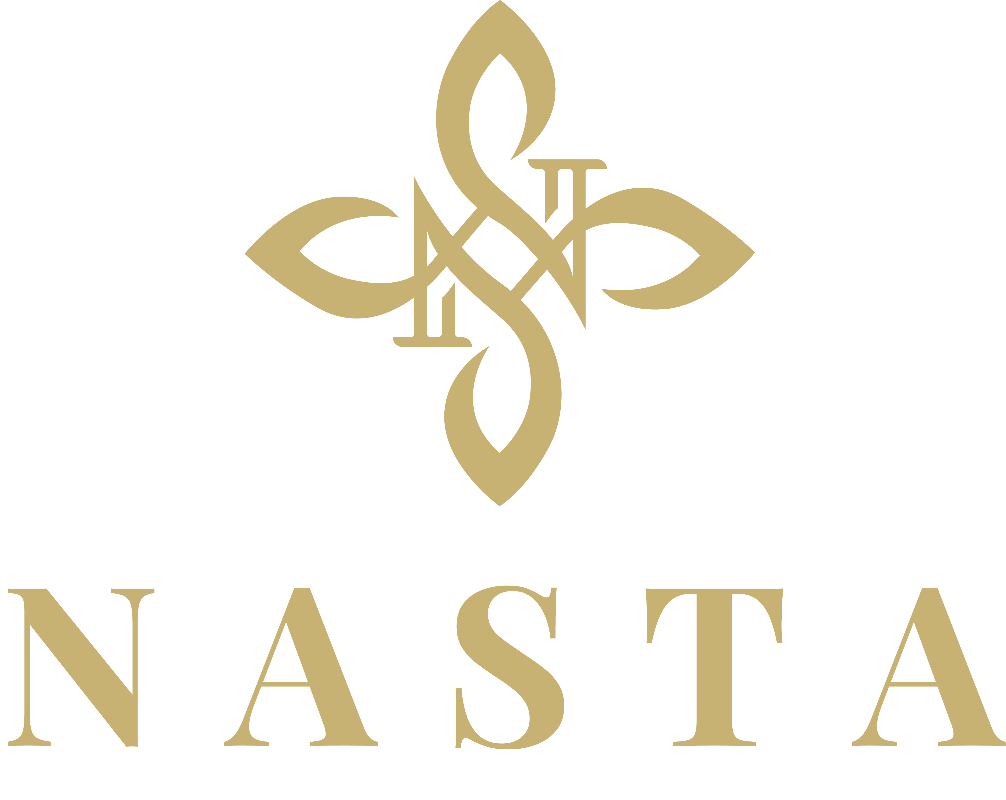 Nasta Bags